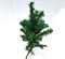 Christmas Xmas 1 Feet Tree for Xmas Party Home Office Decoration (XT-1FT)