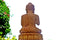 Wooden Abhaya Buddha Statue in Blessing Mudra'