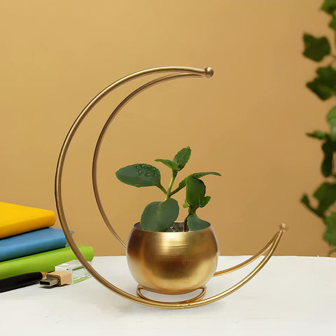 Metallic Flower Vase Pot for Indoor, DFMS463