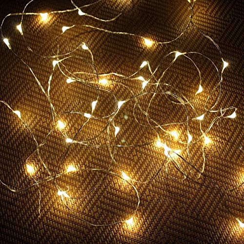 Decorative Battery Operated 30 LED Silver String Lights