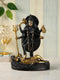 Kaali MATA Spiritual Decorative Brass Murti Statue