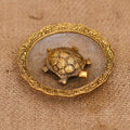 Tortoise Sitting On Glass Plate Metal Feng Shui Showpiece Dfms210