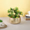 Metallic Golden Flower Vase Pot for Indoor