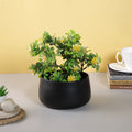 Metallic Gold Flower Vase Pot for Indoor