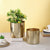 Metallic Gold Planter Pot Set of 2