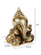 Brass Golden Conch Shaped Ganesh Idol Murti Gbs204